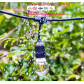 LST-180 String Lights with Clear Bulbs, UL listed Backyard Patio Lights, Hanging Indoor/Outdoor String Light